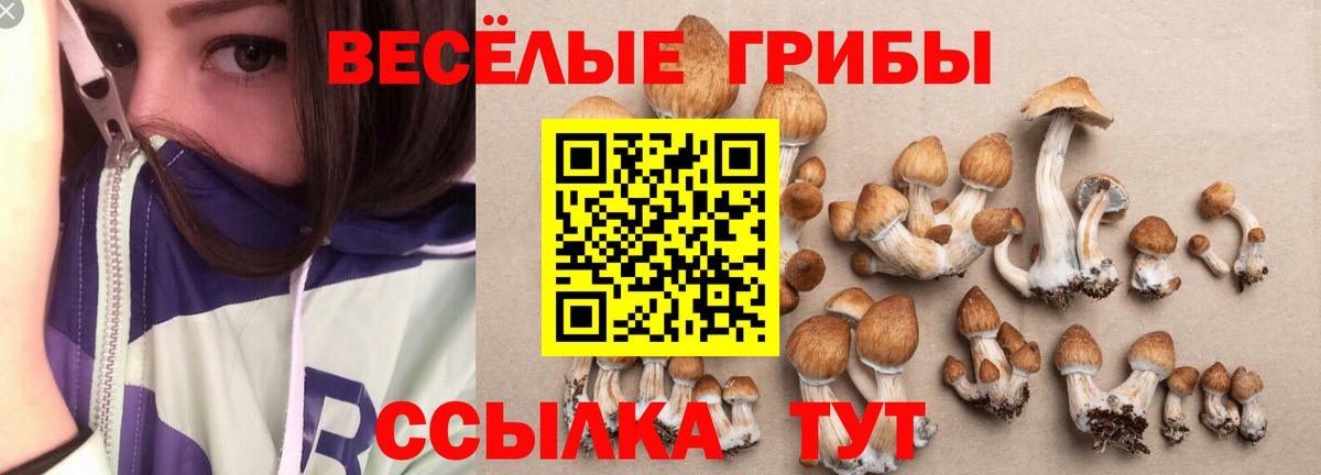 Галлюциногенные грибы Cubensis  Вход с VPN  Магадан 